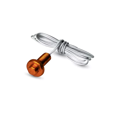 ACI A/1K-2W-BBS – 1,000 Ohm (Two Wires) RTD, Flush Mount Button, Brass