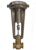 Siemens 277-03060 – 2WNO SS LN VR FXF 1.25/16.00